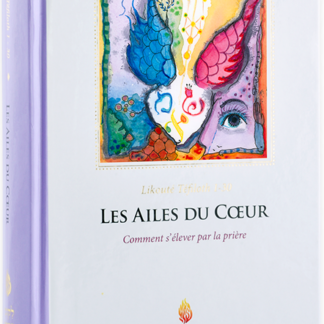 les-ailes-face-150-u111643_2x
